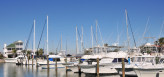 Boats in Marina