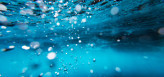 Bubbles Underwater